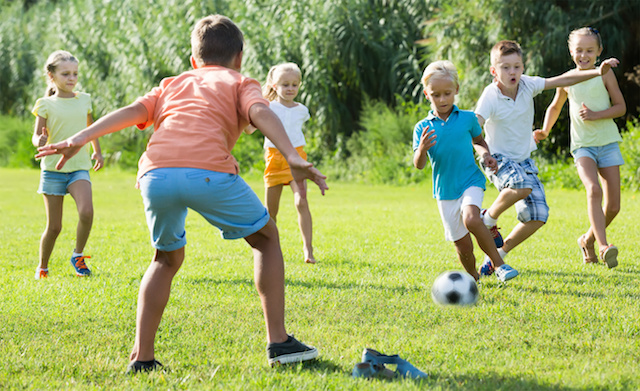 Sport- und Spielrasen