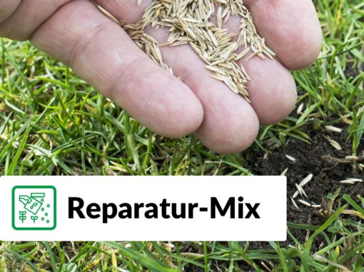Rollrasen Rudi Reparatur-Mix (Nachsaat)
