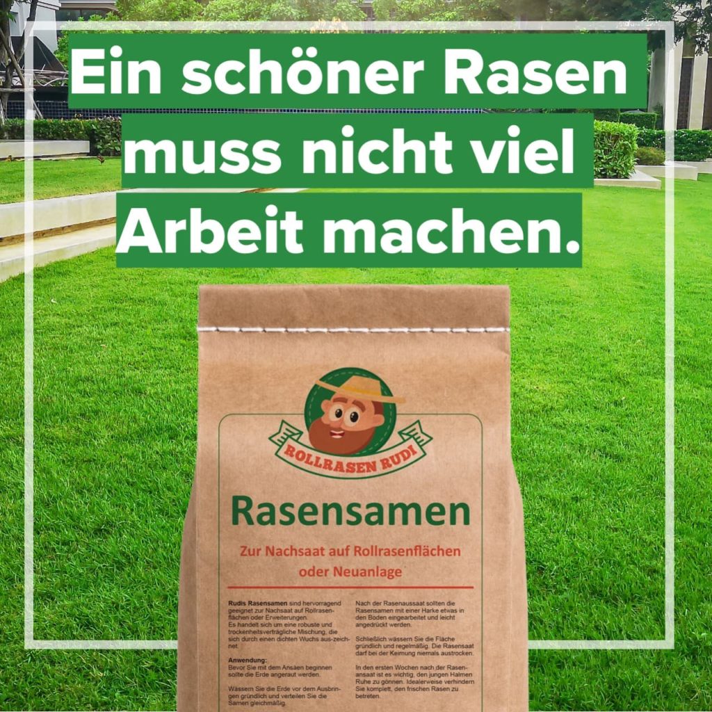 Rasensamen für schönen Rasen bei wenig Pflege