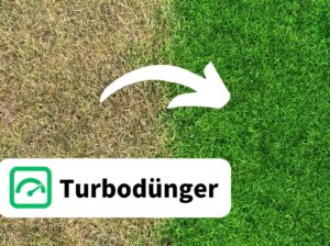 Rollrasen Rudi Turbodünger